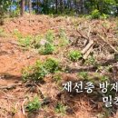 소나무기획 이미지