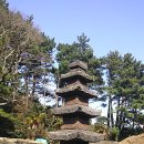 제주 불탑사 오층석탑 이미지