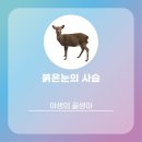 티에프골프라운지 | 티에프라운지 청담점 골프레슨 후기