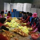 일죽농협 이미지