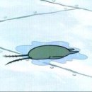 <남주의 가짜 누님> 완결 후기