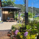 푸른숲 민박 이미지