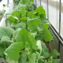 산내음농장 이미지