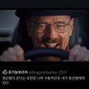 (주)모모스 이미지