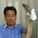장원마트 - 광진구 | 장원마트