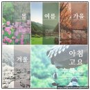 2박 3일 가평여행(2/3) - 아침고요수목원 후기