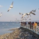 삽교호관광지 이미지