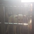 진등재 주유소 이미지