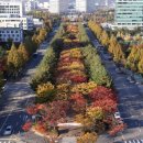 보라매공원 이미지