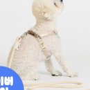 이지플레이 이미지