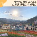 날으는곰 | 에버랜드 평일 후기｜아이와 오후 입장 동선 꿀팁 (로스트밸리·판다월드 코스 정리)