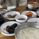 비너스타 이미지