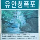 아리꽃아름답다
