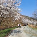 성주호 둘레길 독용산성길 코스 이미지