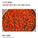 구기자 비가림 재배 이미지