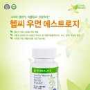 질러콩 네이버블로그