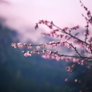 이레칼국수 이미지