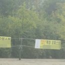 더파란애드