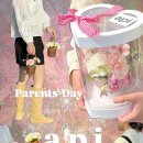 아피디자인