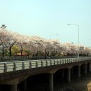 남산교앞 이미지