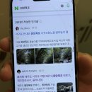 대창카센타 이미지