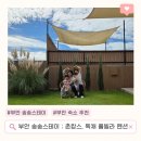 송송 스테이 | 부안 송송스테이 풀빌라 독채 펜션 가족 여행 숙소 추천 2박 3일 촌캉스 내돈내산 리뷰