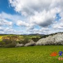 정당목장 이미지