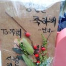 가나화원 이미지