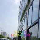 노다지청소 이미지