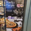 소이뉴코아