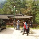 설악산송이