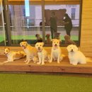 바우라움 메인캠퍼스 이미지