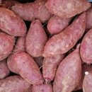 한국보청기 이미지