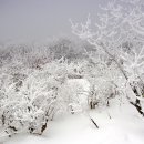 ＜번개산행공지＞ 계방산 눈꽃산행(1.28토 06:50, 동대문역 9번출구) 이미지