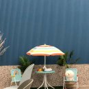 앙쥬레브 애견호텔&애견유치원 송도점 이미지