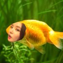 뻐끔뻐끔