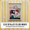 도쿄 국립신미술관 피카소전 후기, 폴 스미스가 디자인한 특별한 전시회