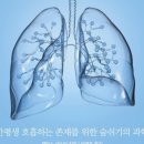 하늘벗한의원 네이버블로그