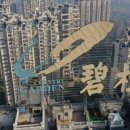 중국 본토 부동산 업체들에 뇌우가 잦아 "집 팔아 돈 다 어디갔냐" 인터넷 글이 퍼지고 있다. 이미지