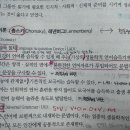 촘스키의 LAD에 대해 질문 이미지