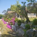 하은영공인중개사사무소 이미지