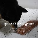 E-소프트 | 닥터소프트 NEW 라인업 더 맛있어진 비프 사료 급여 후기