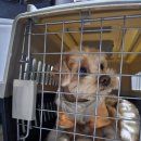 가치타개(타개) 이미지