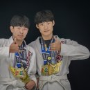 페로자주짓수