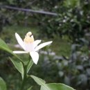 승광농장 이미지