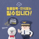 안녕펫(물어보개) 이미지