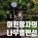 어린왕자의나무별 | 화악산계곡 펜션 어린왕자의 나무별 플라타너스 후기