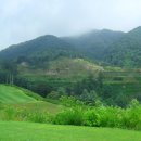 베뉴지CC 이미지