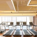 마스터 와이짐 이미지