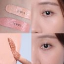레이어로즈 | 어바웃톤블러셔 스킨레이어핏블러셔 피치슈 캄로즈 가을뮤트 후기